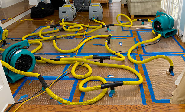 Professional Crawl Space Water Removal technician working in Roanoke, IN